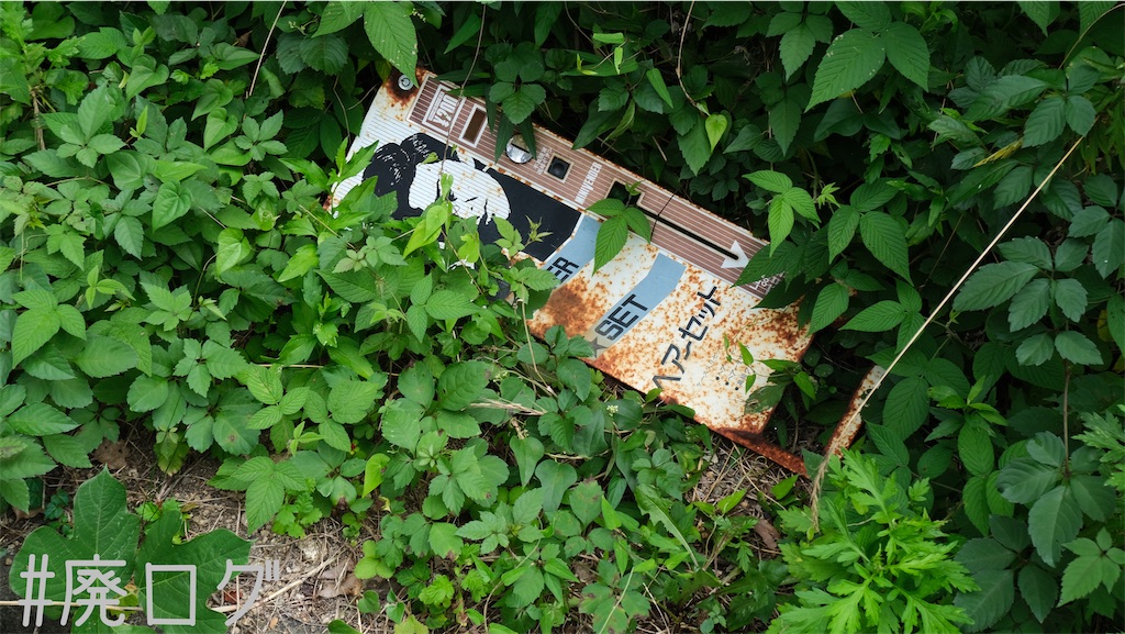 f:id:hiyapa:20220913082039j:image