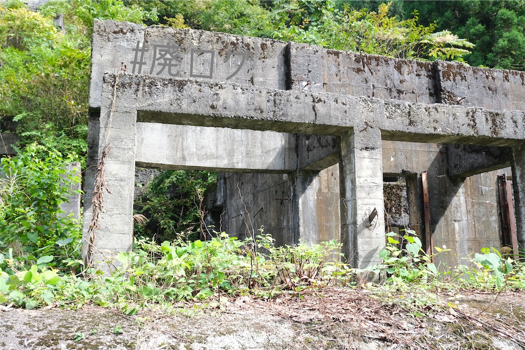 f:id:hiyapa:20221017081620j:image