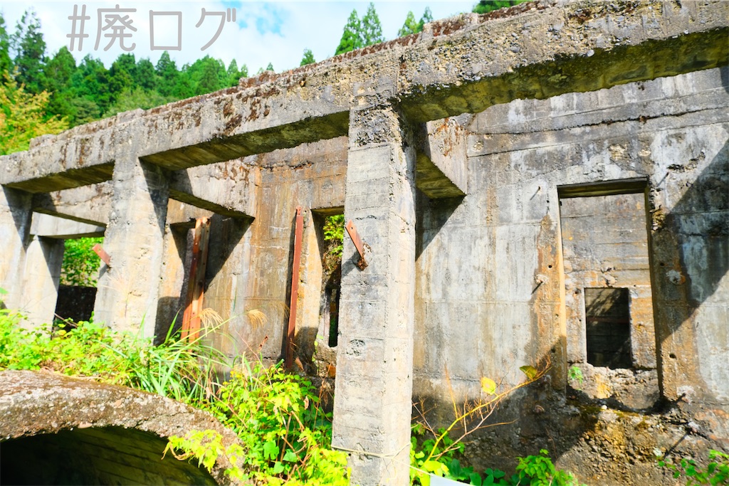 f:id:hiyapa:20221017081624j:image