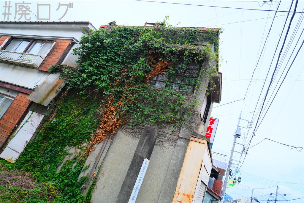 f:id:hiyapa:20221030103934j:image