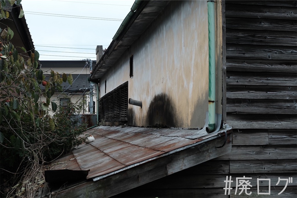 f:id:hiyapa:20221101081121j:image