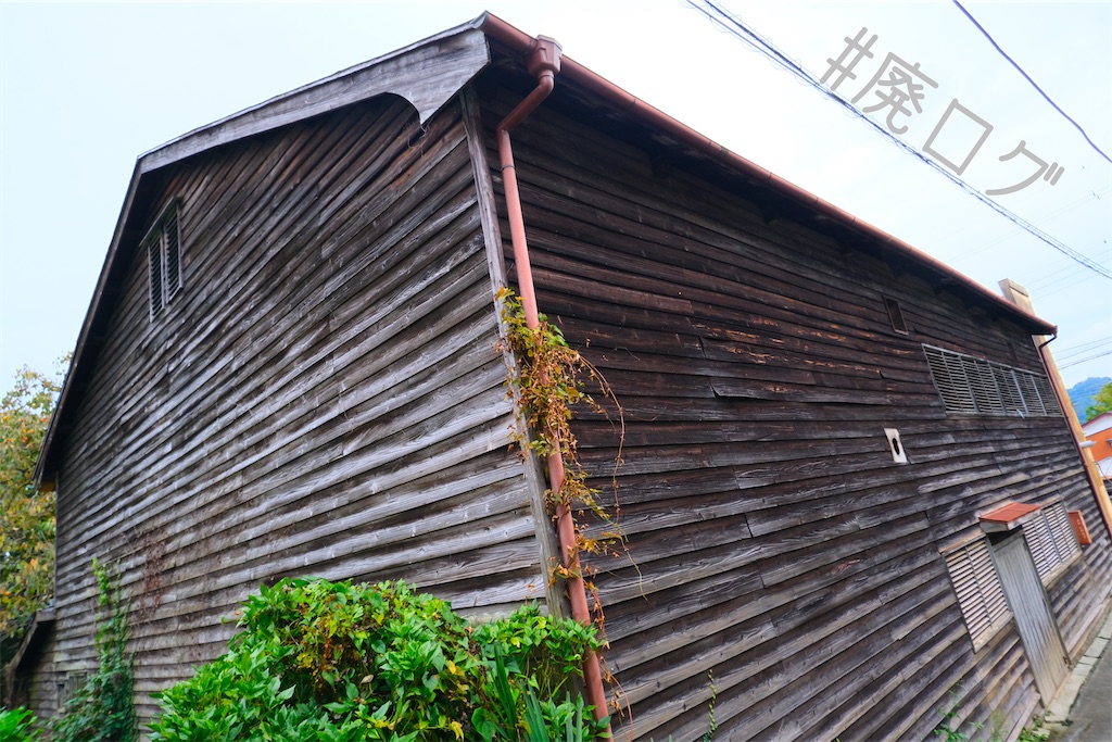 f:id:hiyapa:20221101081130j:image