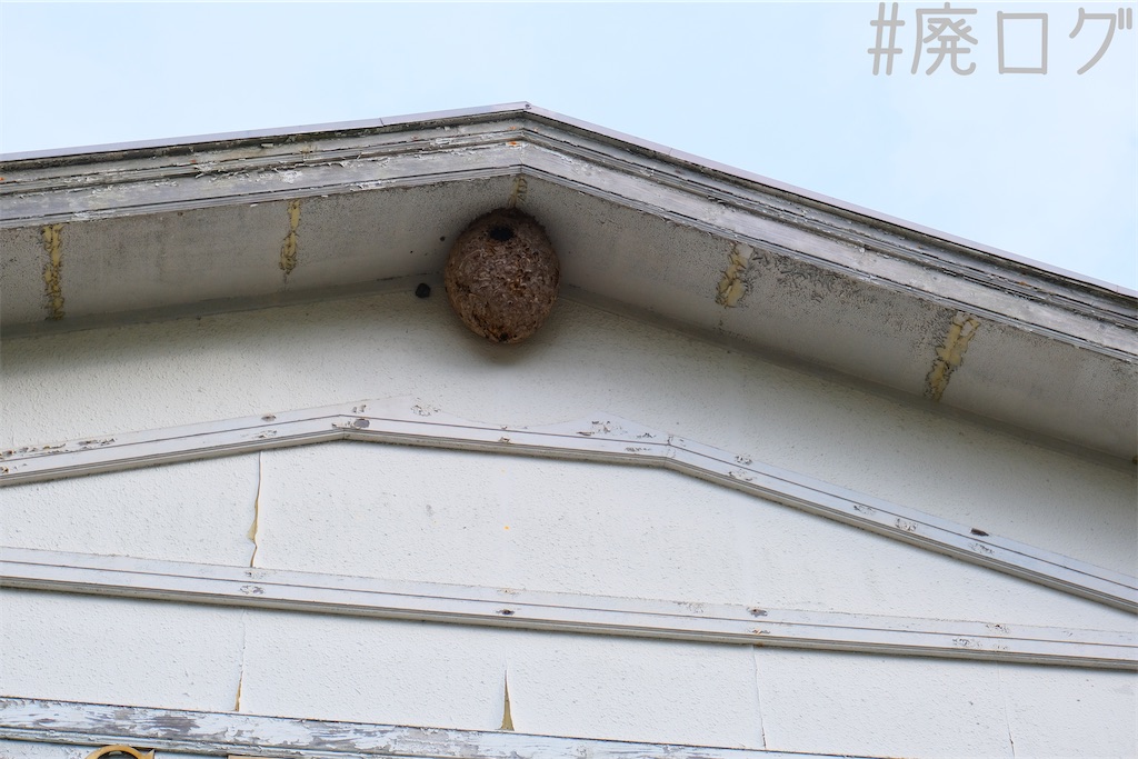 f:id:hiyapa:20221109233109j:image f:id:hiyapa:20221109233109j:image