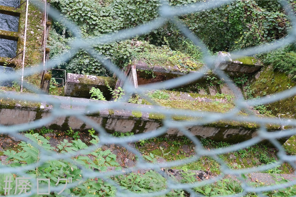 f:id:hiyapa:20221114204718j:image