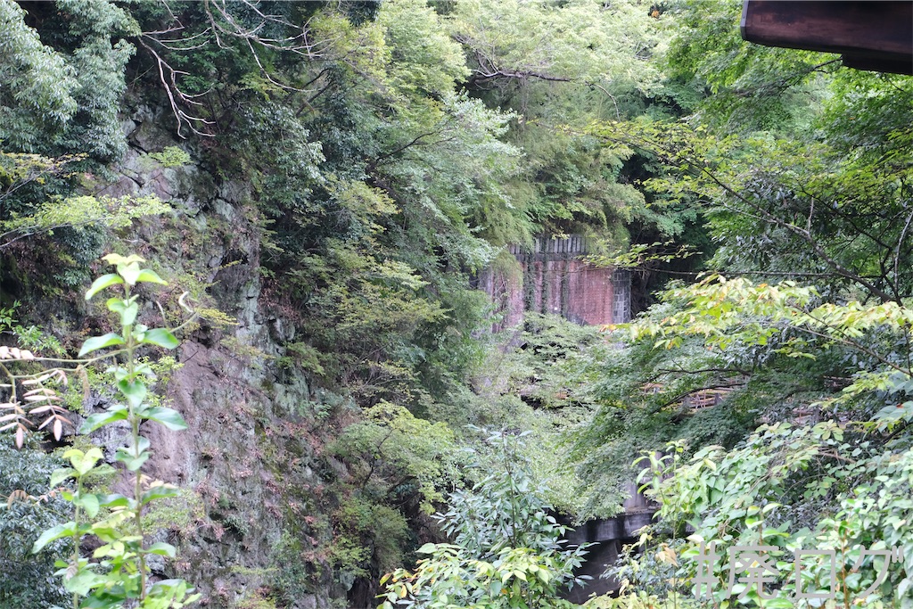 f:id:hiyapa:20221114204726j:image