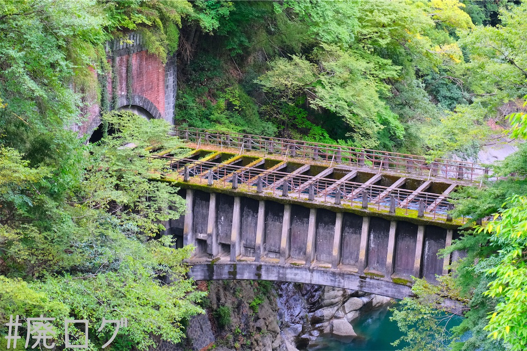 f:id:hiyapa:20221114204735j:image