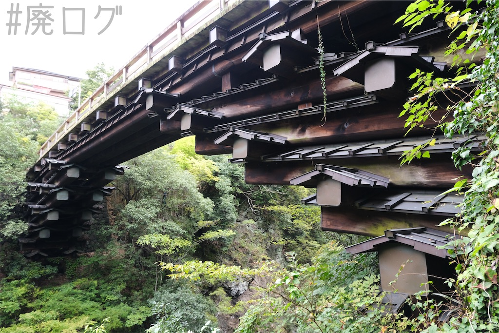 f:id:hiyapa:20221114204739j:image