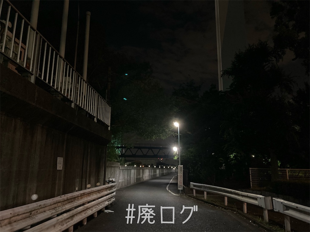 f:id:hiyapa:20221128210510j:image