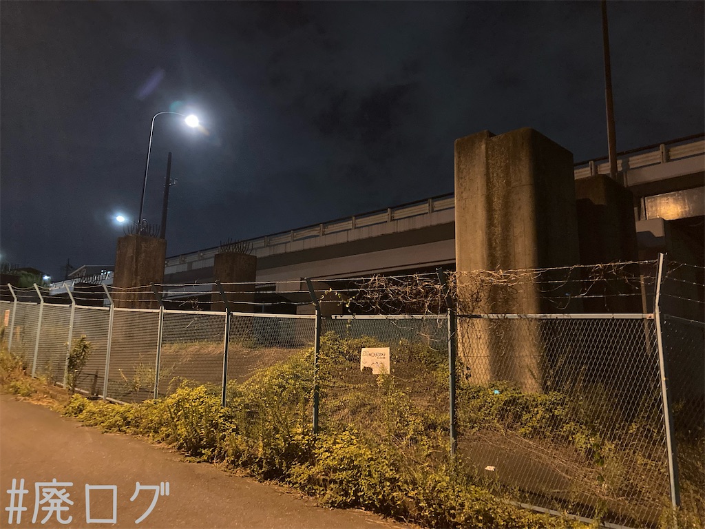 f:id:hiyapa:20221128210726j:image