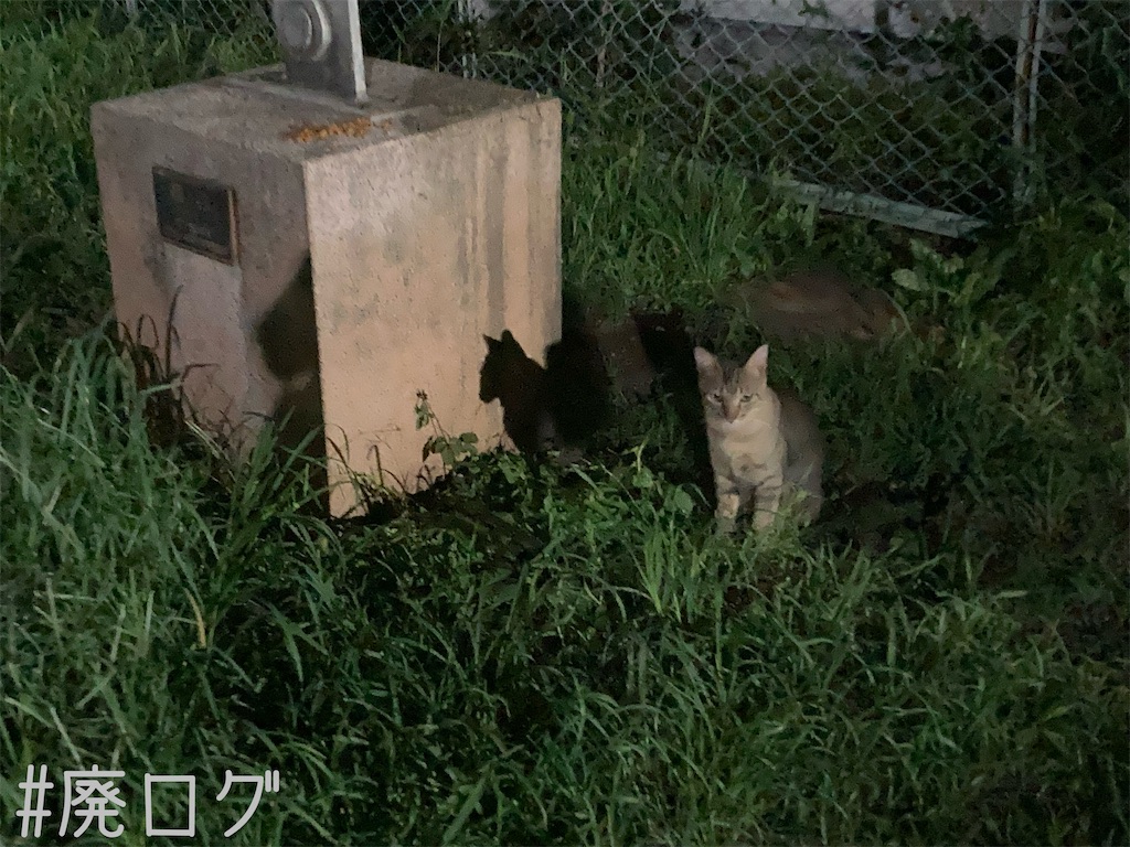 f:id:hiyapa:20221128210730j:image