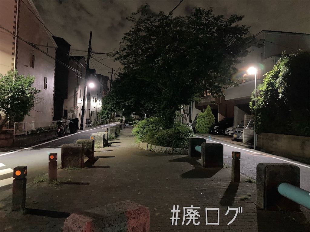 f:id:hiyapa:20221128210733j:image