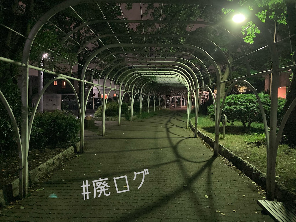 f:id:hiyapa:20221128210739j:image