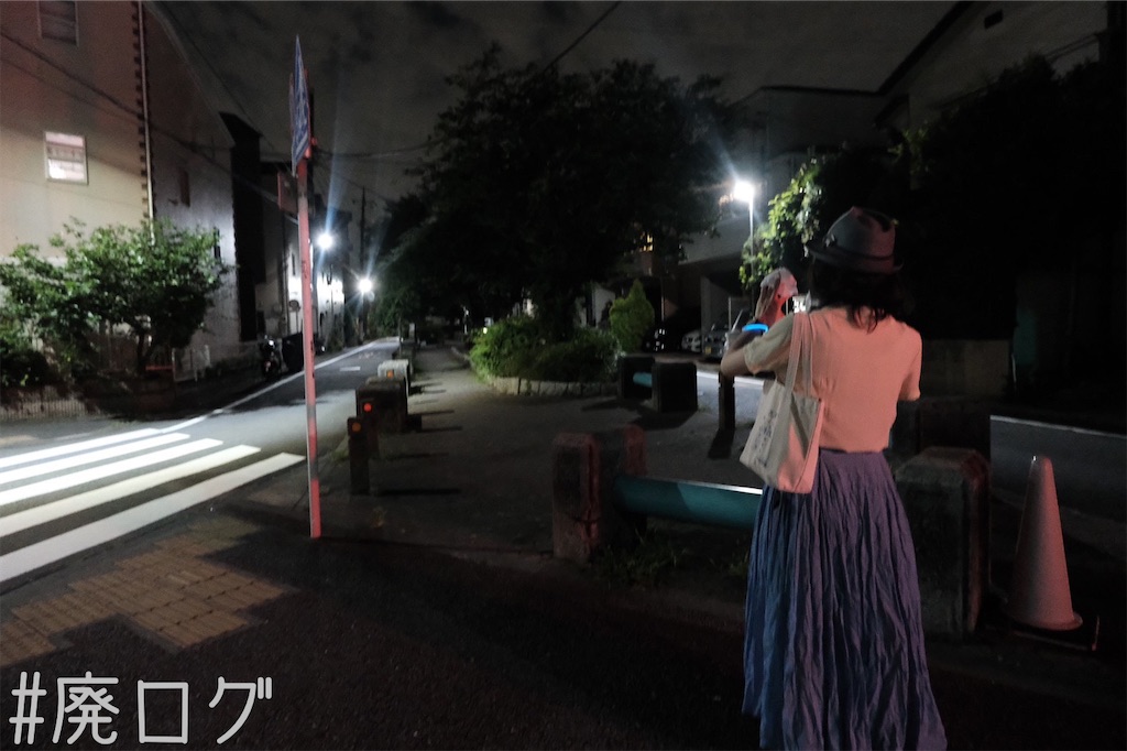 f:id:hiyapa:20221128210742j:image