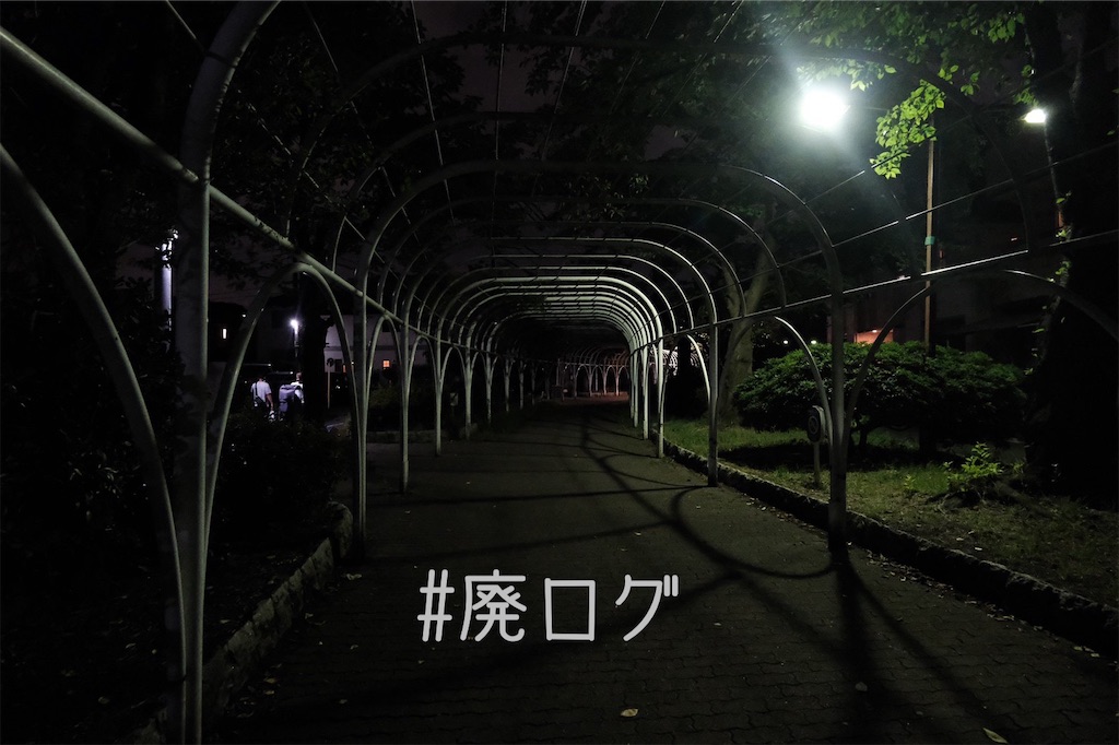 f:id:hiyapa:20221128210745j:image