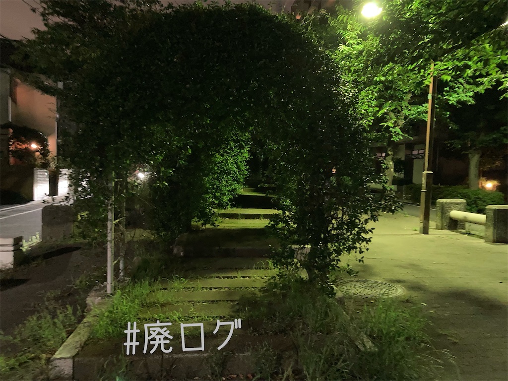 f:id:hiyapa:20221128210747j:image