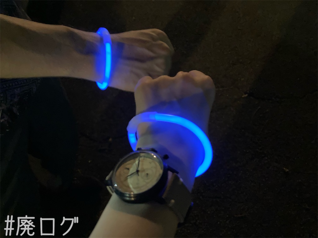 f:id:hiyapa:20221128211423j:image