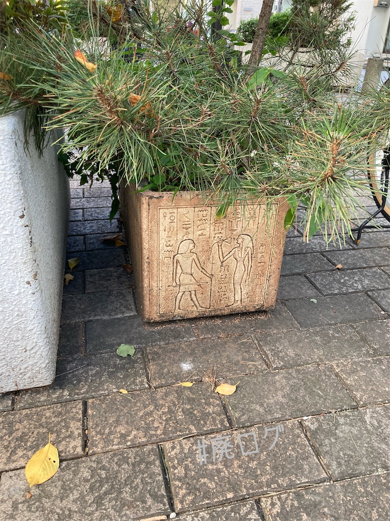 f:id:hiyapa:20221128212427j:image