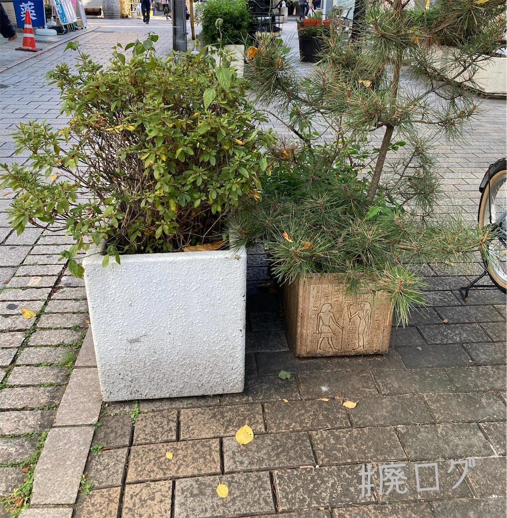 f:id:hiyapa:20221128212430j:image