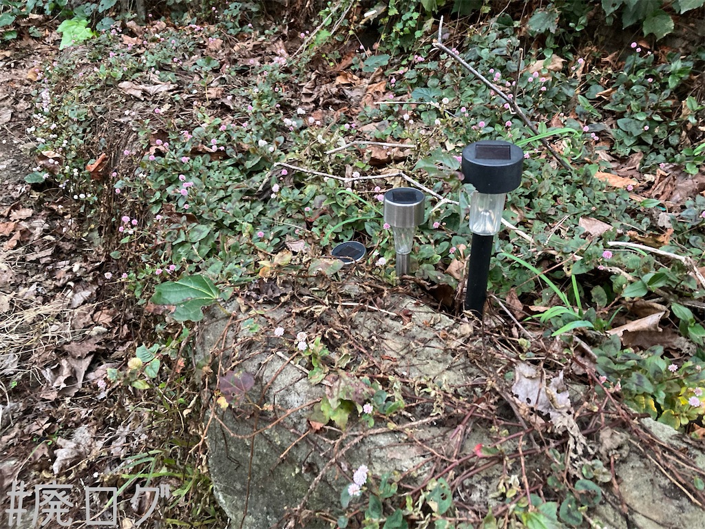 f:id:hiyapa:20221128213914j:image