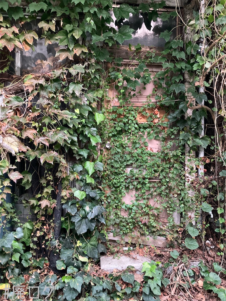 f:id:hiyapa:20221128213917j:image