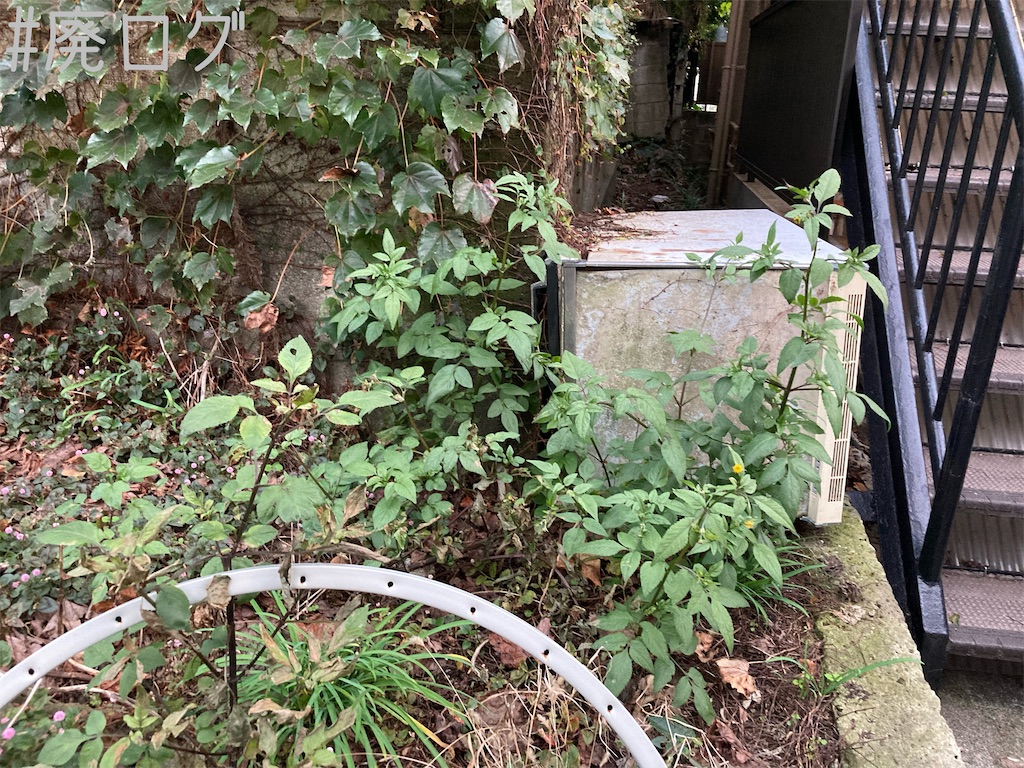 f:id:hiyapa:20221128213921j:image