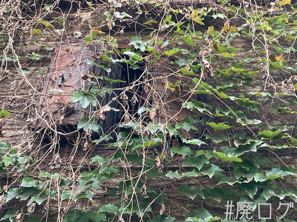 f:id:hiyapa:20221128213924j:image