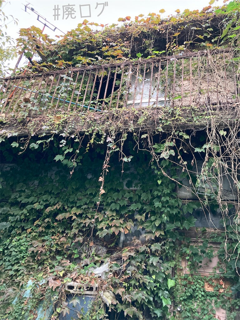 f:id:hiyapa:20221128213928j:image