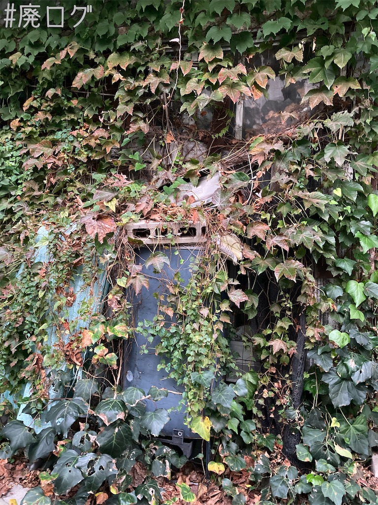 f:id:hiyapa:20221128213931j:image