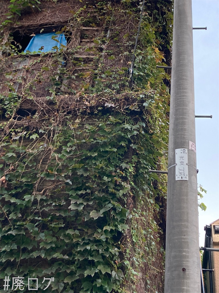 f:id:hiyapa:20221128213938j:image