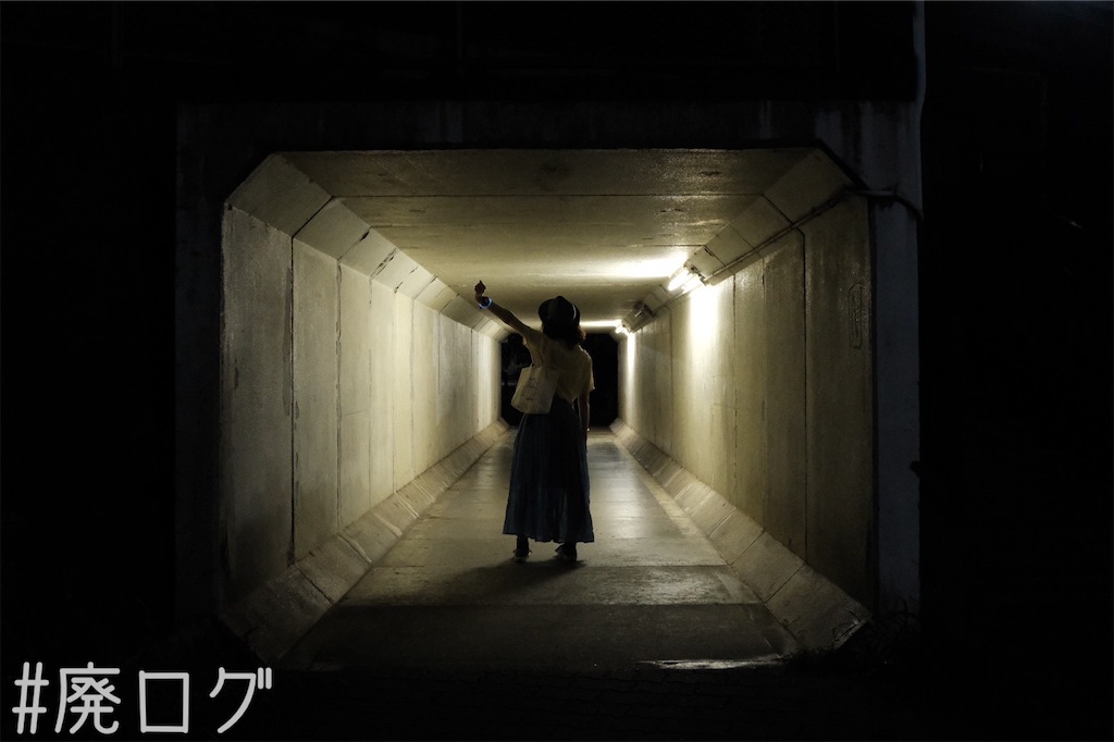 f:id:hiyapa:20221129081327j:image