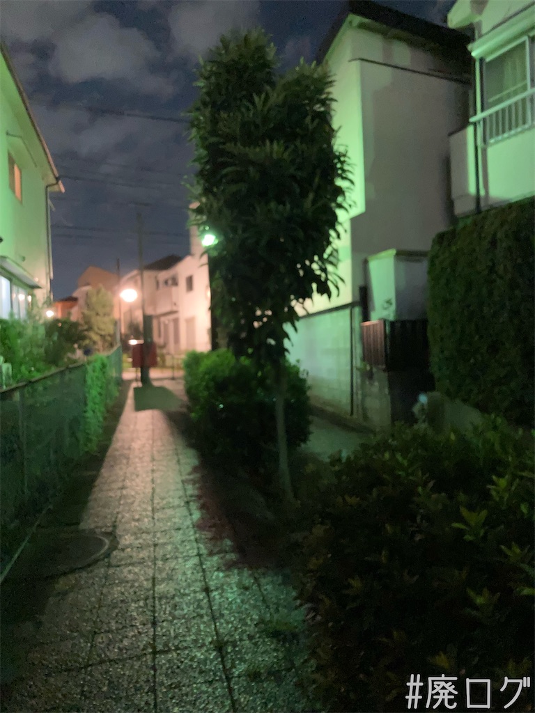 f:id:hiyapa:20221129081347j:image