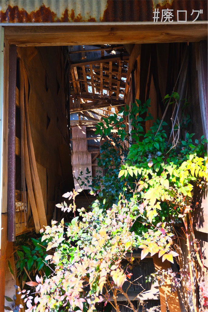 f:id:hiyapa:20230213194000j:image
