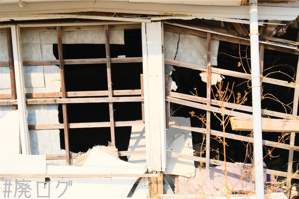 f:id:hiyapa:20230223200258j:image