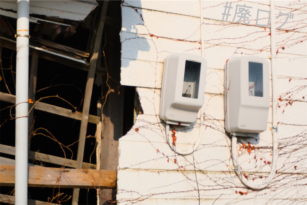 f:id:hiyapa:20230223200310j:image