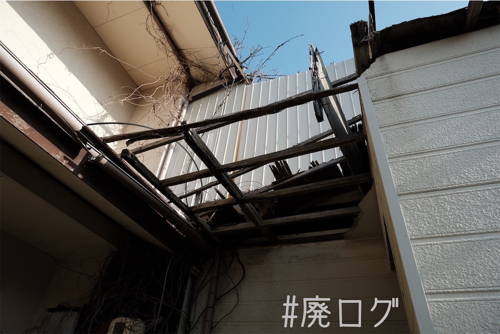 f:id:hiyapa:20230227001310j:image