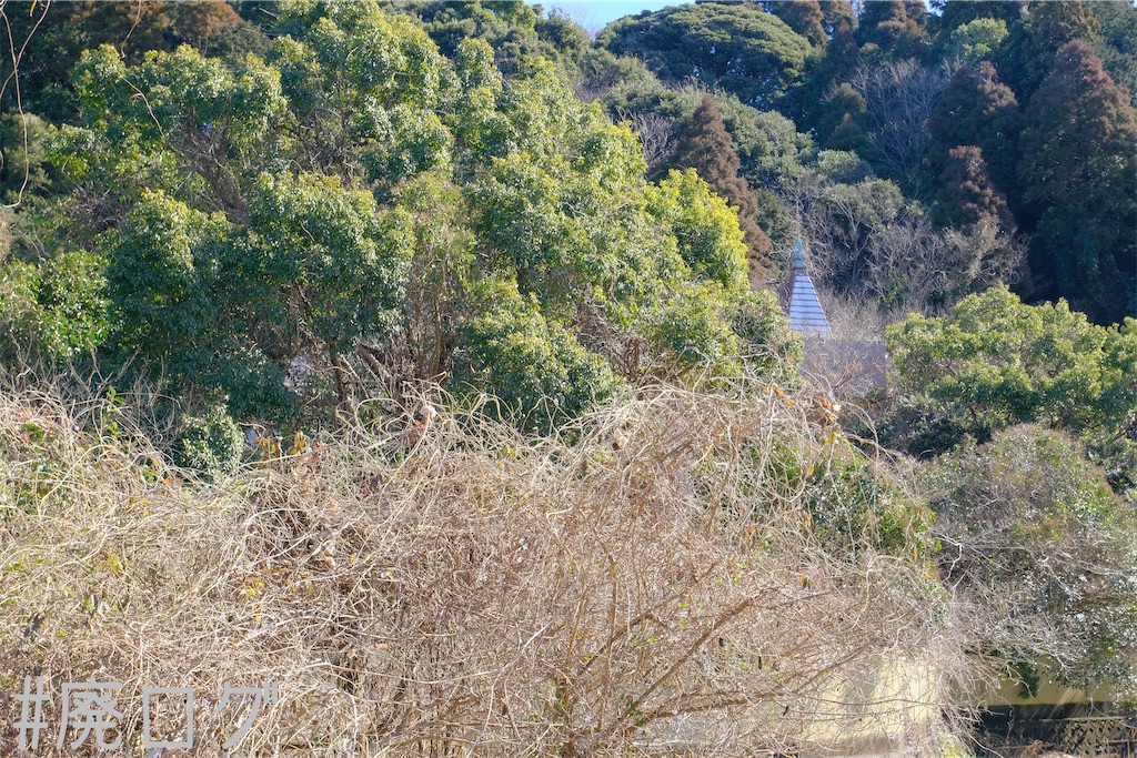 f:id:hiyapa:20230302080406j:image