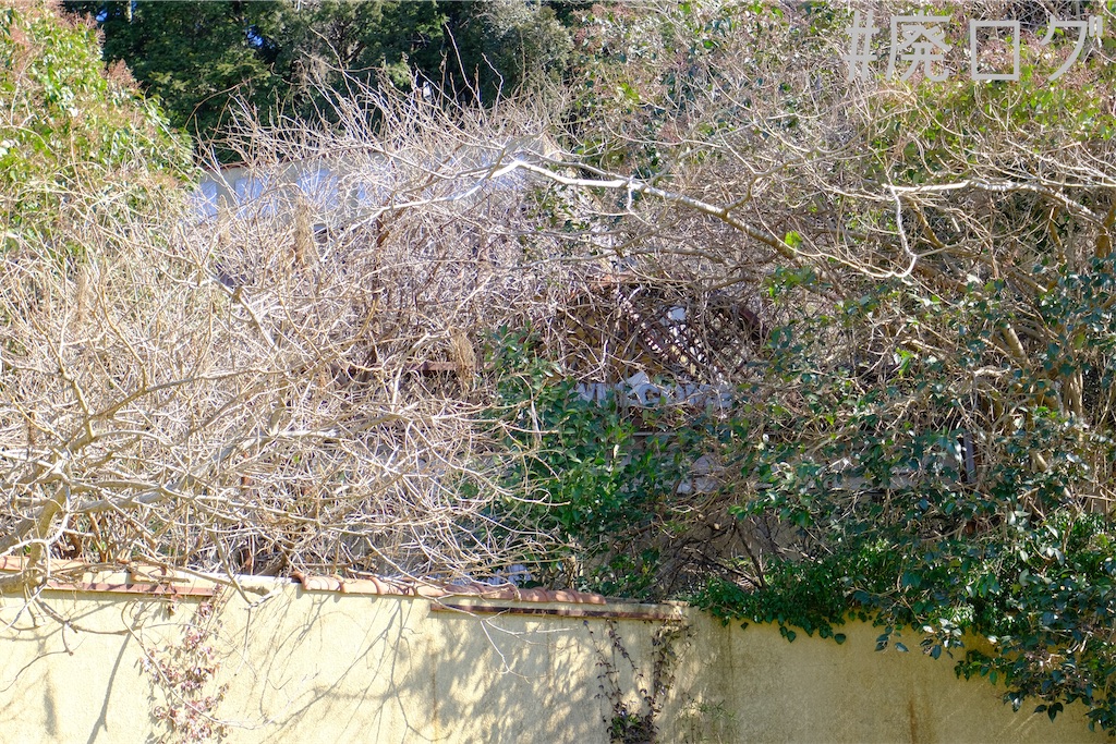 f:id:hiyapa:20230302080418j:image