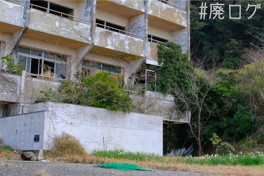 f:id:hiyapa:20230309215441j:image