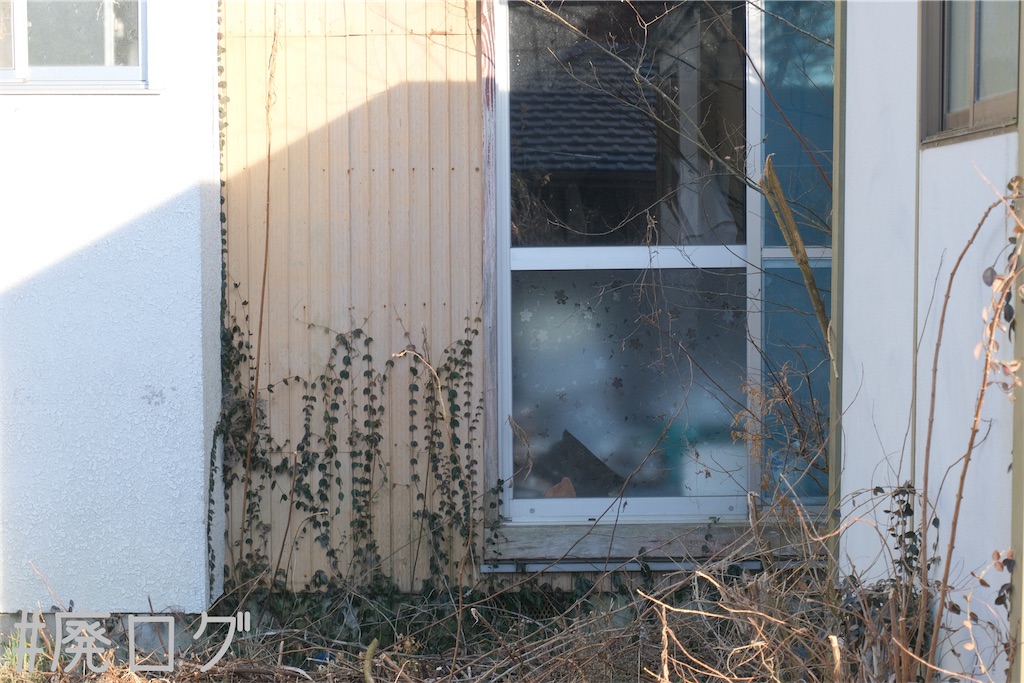 f:id:hiyapa:20230313215538j:image f:id:hiyapa:20230313215538j:image