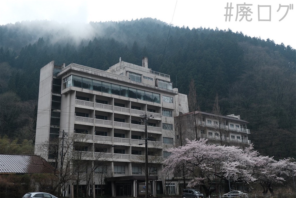 f:id:hiyapa:20230501080509j:image