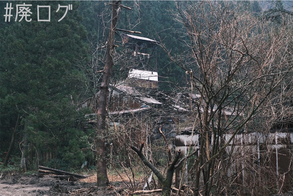 f:id:hiyapa:20230502072648j:image