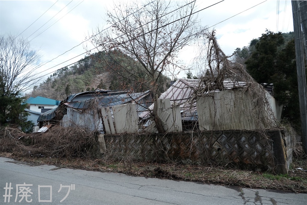 f:id:hiyapa:20230518073425j:image f:id:hiyapa:20230518073425j:image