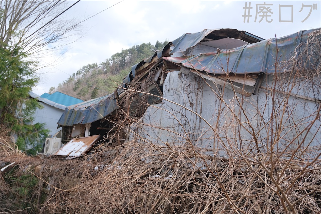 f:id:hiyapa:20230518073432j:image f:id:hiyapa:20230518073432j:image