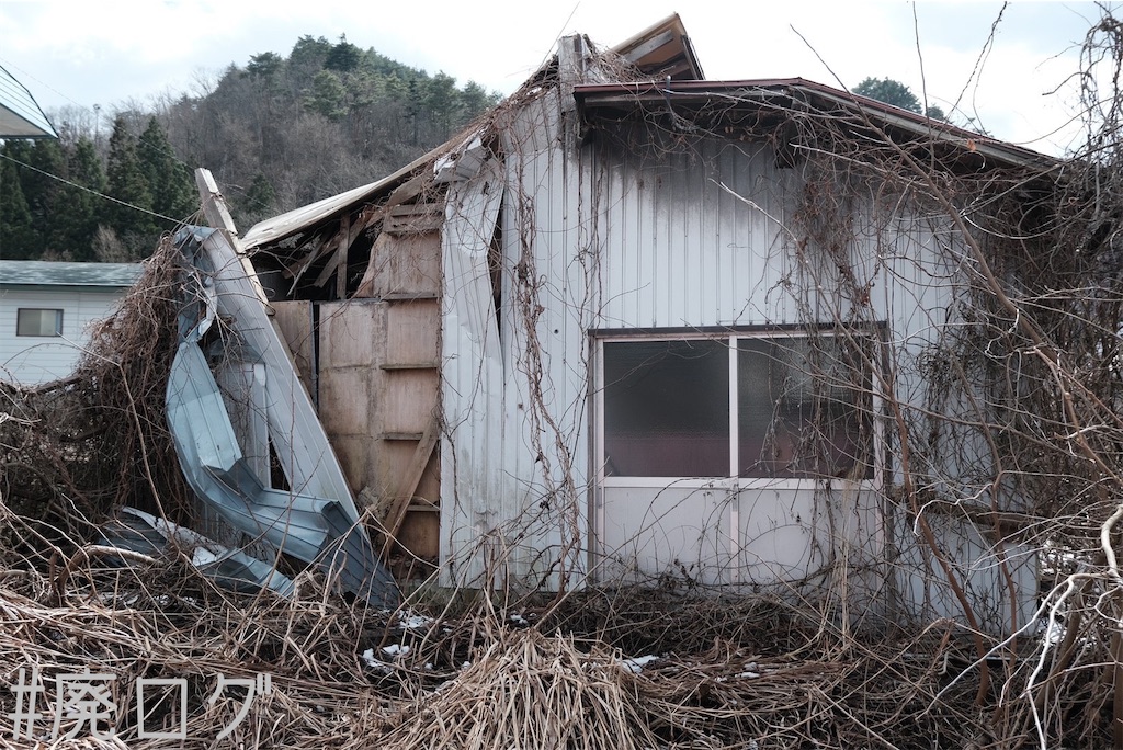 f:id:hiyapa:20230518073442j:image f:id:hiyapa:20230518073442j:image