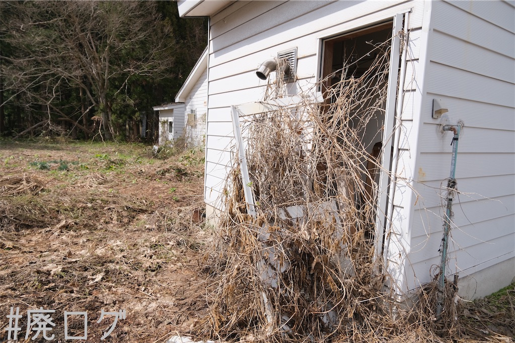 f:id:hiyapa:20230518083233j:image f:id:hiyapa:20230518083233j:image