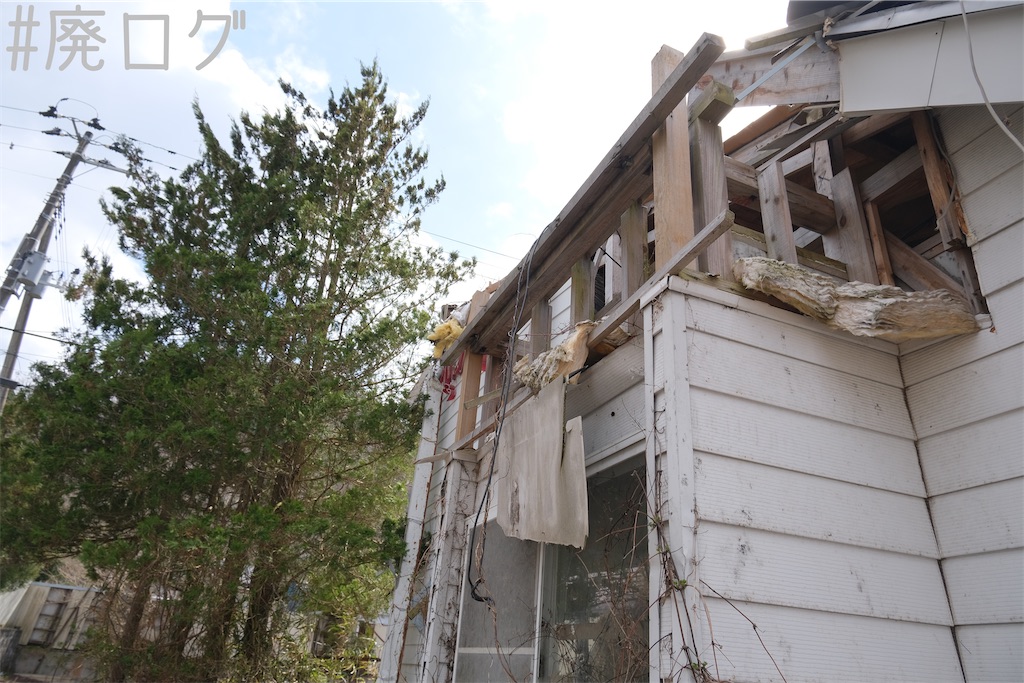 f:id:hiyapa:20230518083238j:image f:id:hiyapa:20230518083238j:image