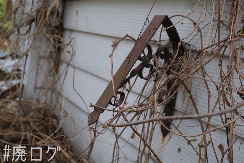 f:id:hiyapa:20230518083242j:image f:id:hiyapa:20230518083242j:image