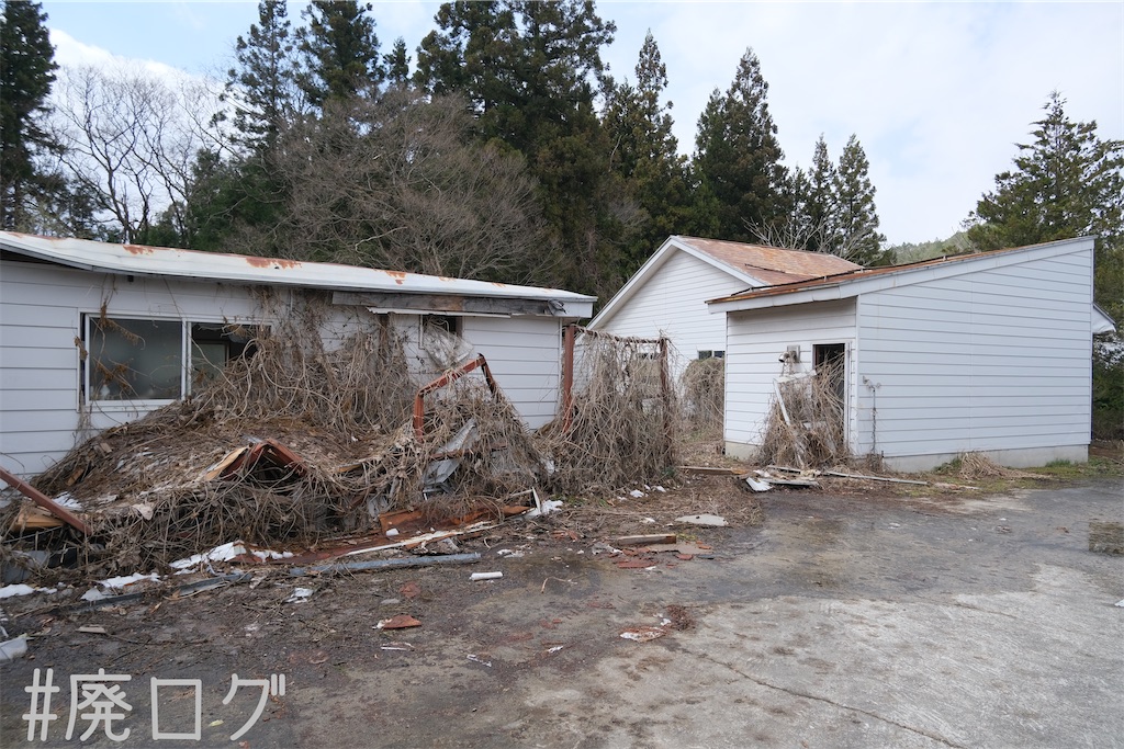 f:id:hiyapa:20230518083343j:image f:id:hiyapa:20230518083343j:image