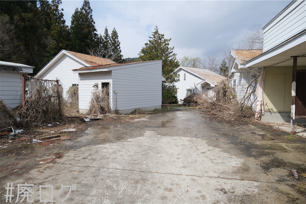 f:id:hiyapa:20230518083406j:image f:id:hiyapa:20230518083406j:image