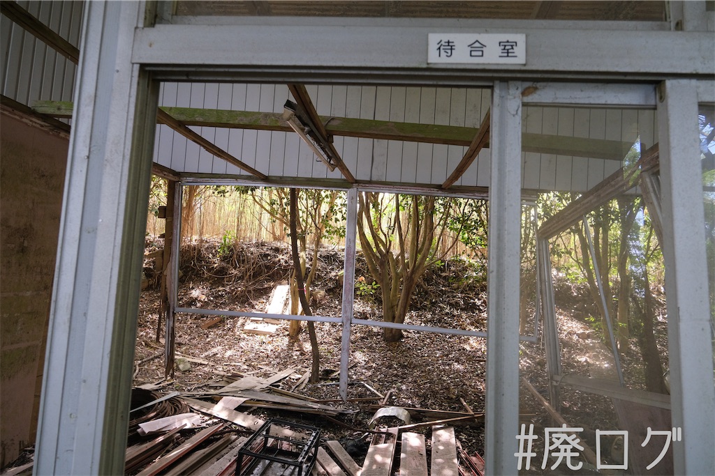 f:id:hiyapa:20230527201945j:image f:id:hiyapa:20230527201945j:image